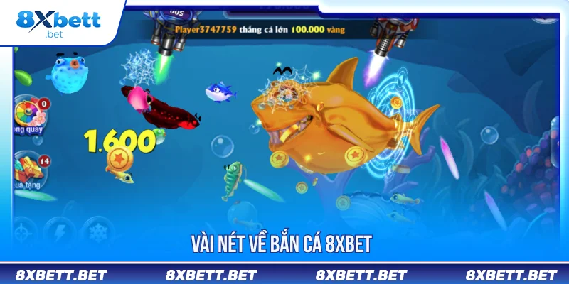 BẮN CÁ 8XBET 1 Vài nét về bắn cá 8XBET