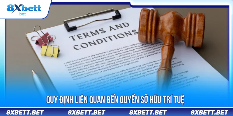 ĐIỀU KHOẢN ĐIỀU KIỆN 3 Điều khoản điều kiện liên quan đến quyền sở hữu