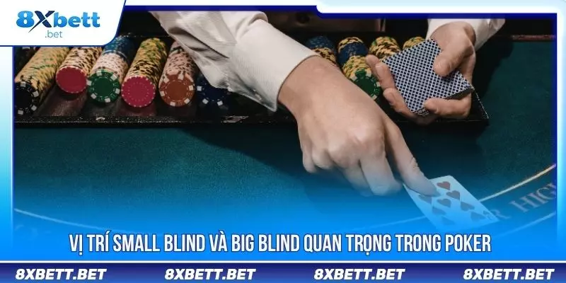 Luật Poker - Toàn Bộ Kiến Thức Cần Nắm Vững Khi Tham Gia 2 Vị trí small Blind và Big Blind quan trọng trong poker